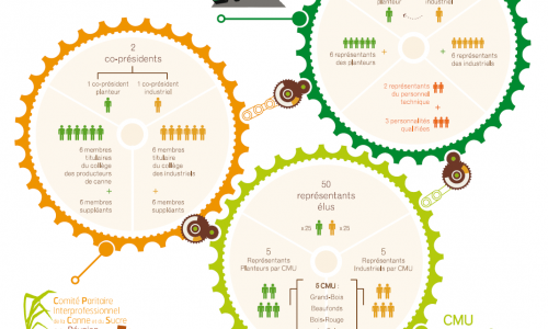 Schéma des différentes instances de gouvernance dans la filière Canne-Sucre à La Réunion